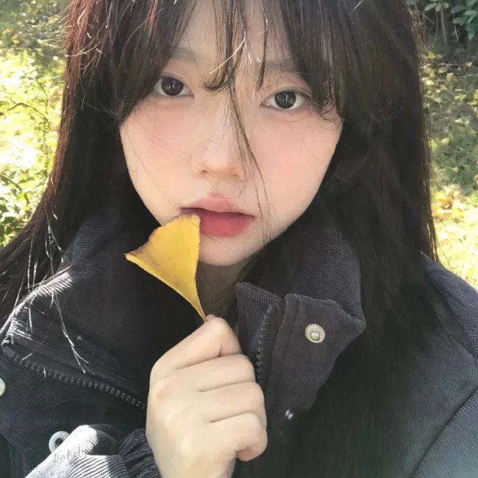 三个女人一个「因」粤语 海报