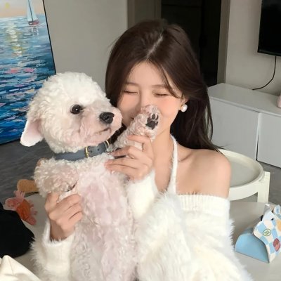粉红谎言 海报