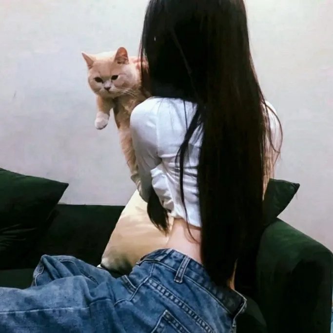 百里挑一遇春风 海报