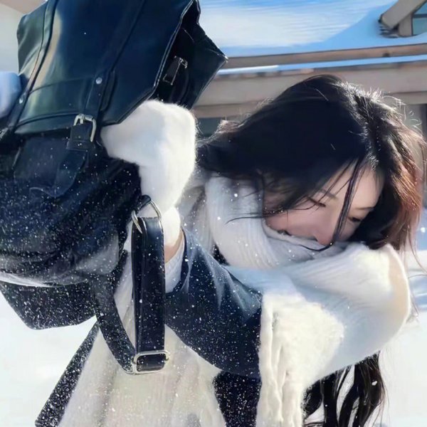 福团·费斯特：好运旺旺来 海报